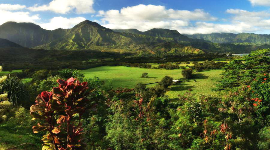 Melhores ofertas de aluguel de carros em Princeville